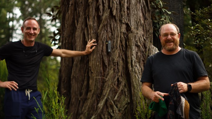 Two men stand next to a large tree trunk with a sensor attac
